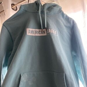 Teal American eagle sweater